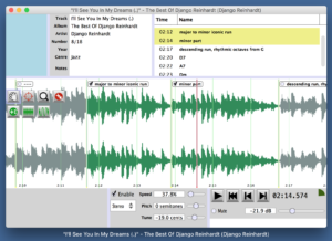 A screenshot of SlowGold 8 in actions, displaying how different sections of a recording can be labelled and selected for playback in this slow down program.